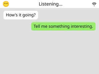 Mr.Z AI chatbot screenshot 4